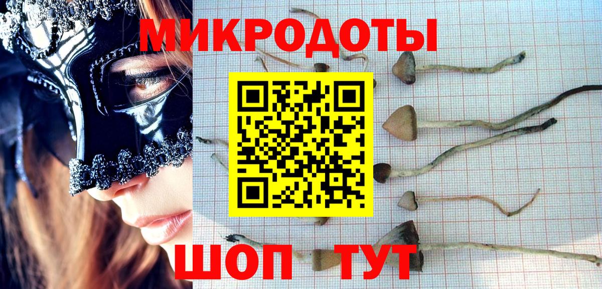 Азнакаево  Псилоцибиновые грибы MAGIC MUSHROOMS  Вход с VPN 